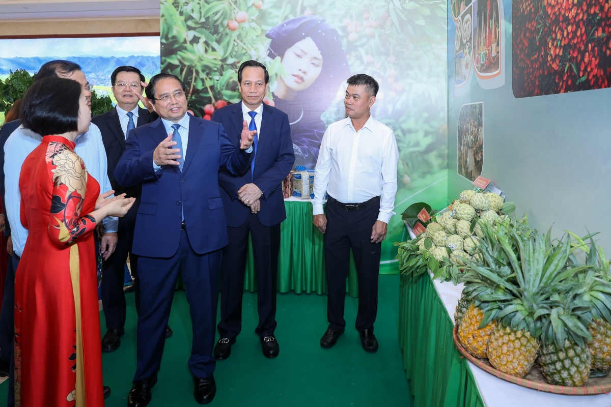 Thủ tướng thăm các gian hàng trưng bày sản phẩm nông nghiệp của các địa phương, đơn vị - Ảnh: VGP/Nhật Bắc