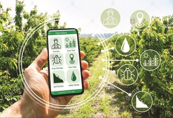 Ứng dụng Geo-Tagging trong minh bạch hóa dữ liệu thanh toán số tại khu vực nông thôn Việt Nam